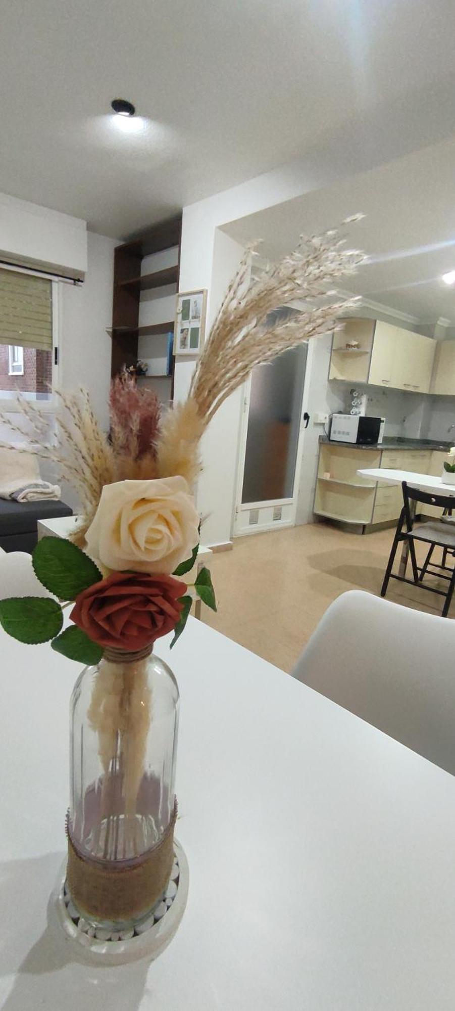 Apartment Estudio